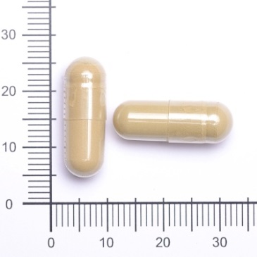 嘉林 綠茶抽出物膠囊450mg.jpg