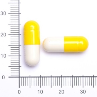 嘉林 藤黃果膠囊500mg.jpg
